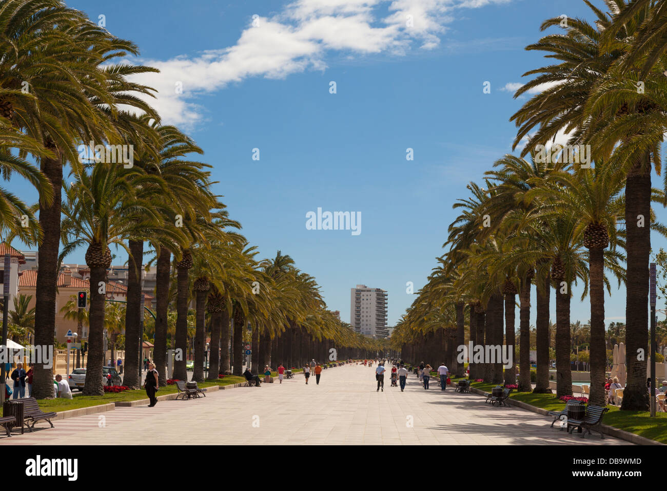 Palmen-Promenade in Salou Spanien Stockfoto
