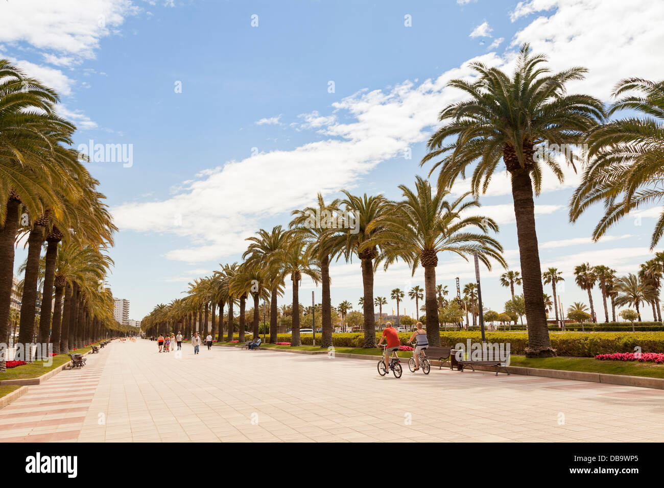 Palmen-Promenade in Salou Spanien Stockfoto