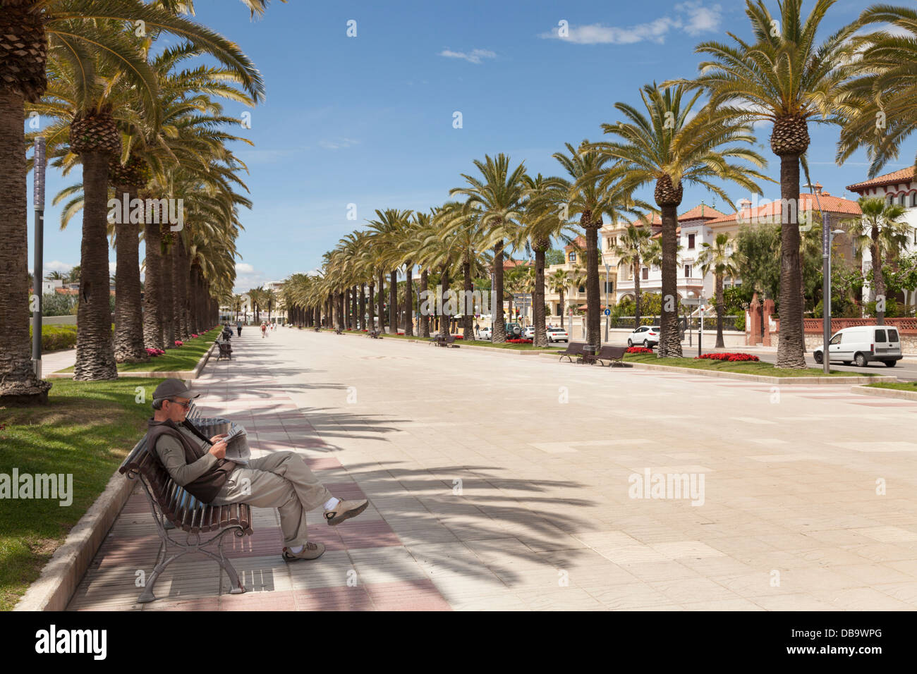 Palmen-Promenade in Salou Spanien. Stockfoto