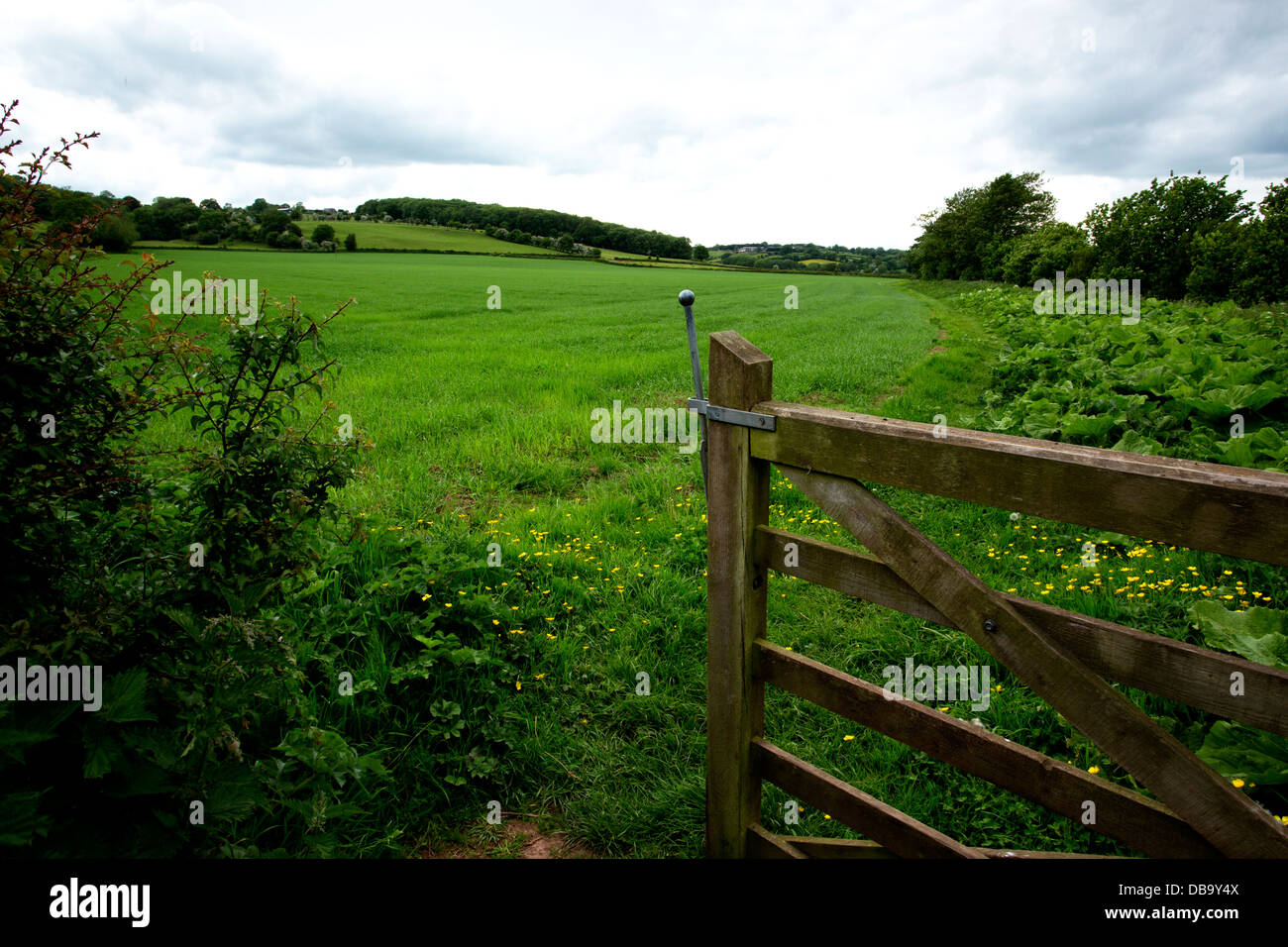 Tor auf dem Herefordshire Trail im goldenen Tal passieren Poston Court Farm Stockfoto