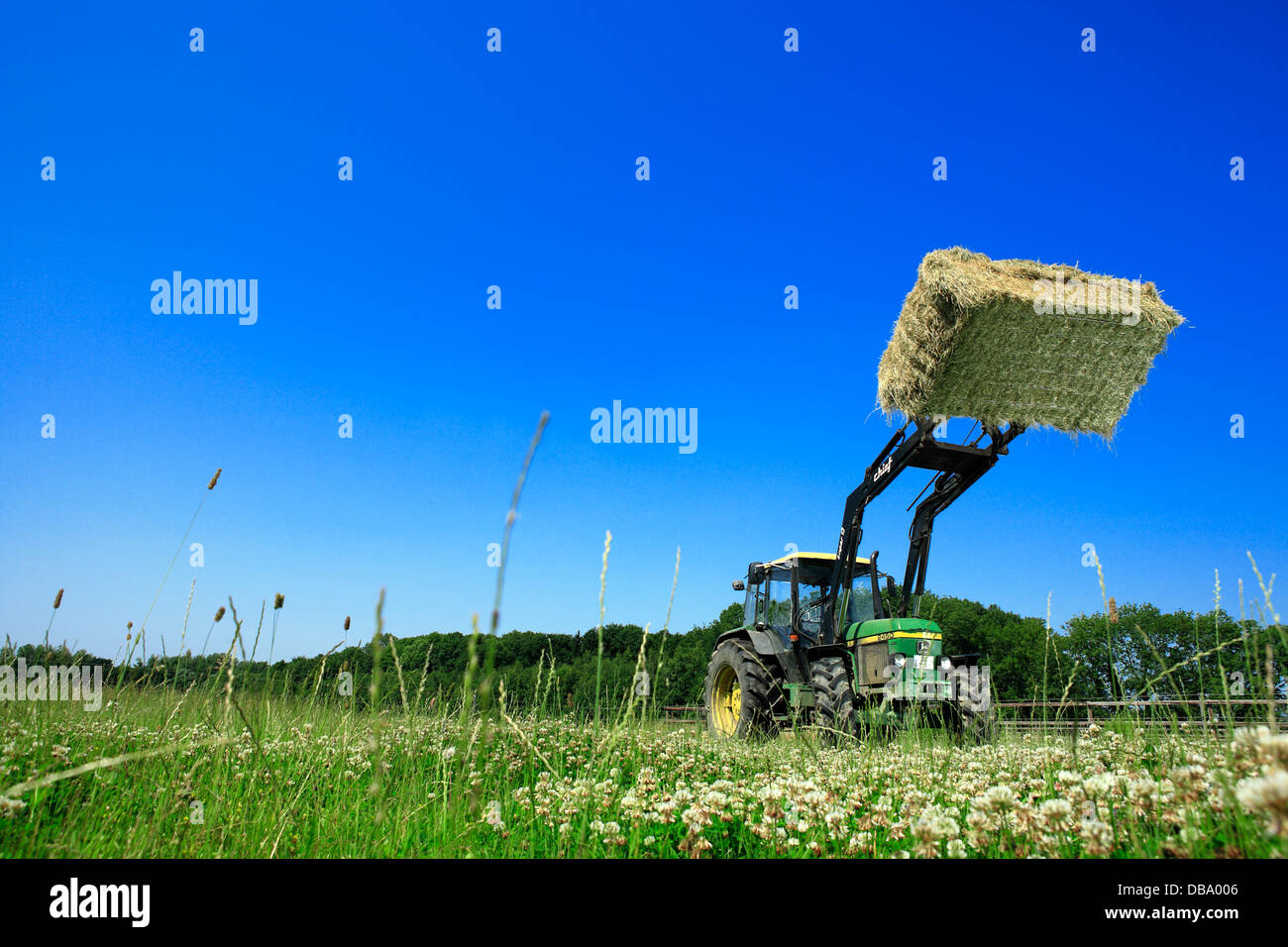 John Deere Traktor Modell 2450 Aufzug Ballen Heu auf einer Farm Wiese. Deutschland, Nord Rhein Westfalen, Europa Stockfoto