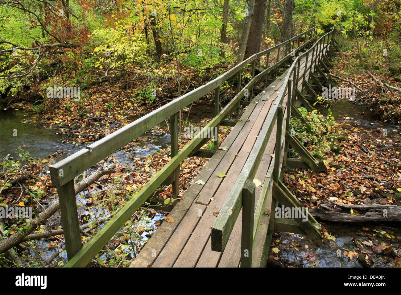 Einen alten, klapprigen Fuß Holzbrücke über einem Fluss im Herbst, Glen Helen Naturschutzgebiet; Yellow Springs, Ohio, USA Stockfoto