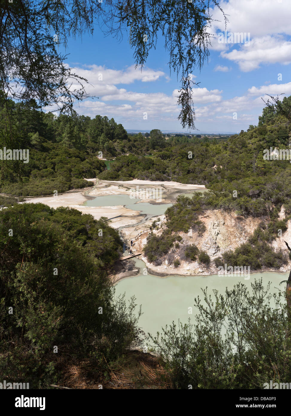 dh Wai O Tapu Thermal Wonderland WAIOTAPU NEW ZEALAND Ansichten Pfanne flach geothermische bündelt Landschaft Stockfoto