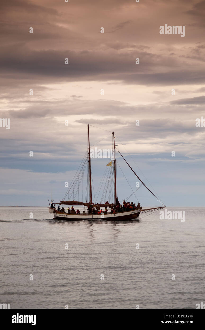 Alten Walfänger Großsegler umgebaut für touristische Whalewatching. Bucht von Husavik. Island, Skandinavien, Europa. Stockfoto