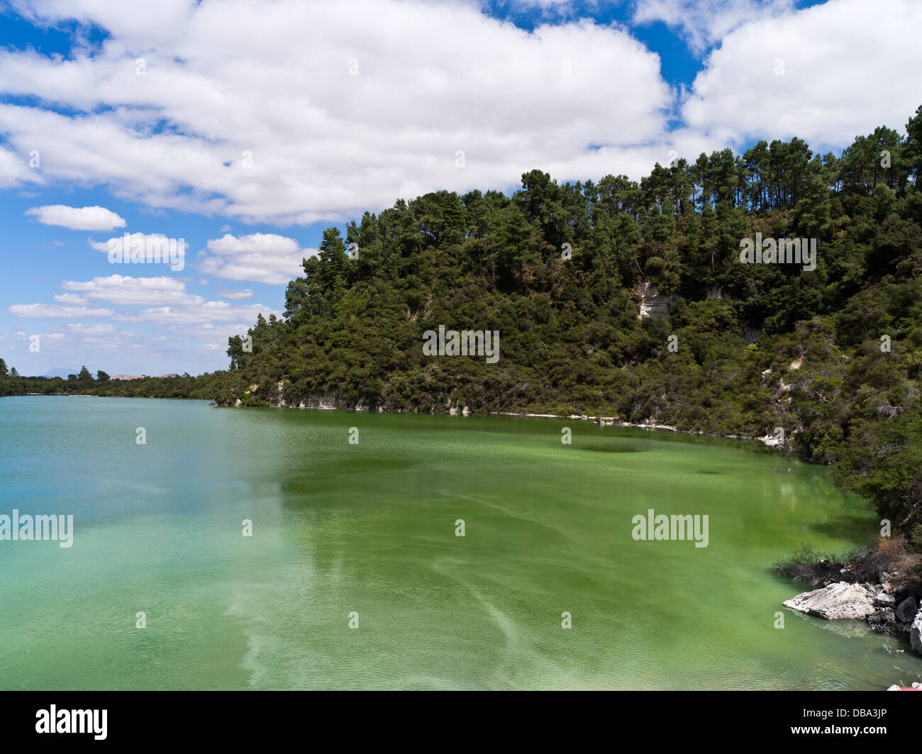 dh Wai O Tapu Thermal Wonderland WAIOTAPU NEW ZEALAND Green Lake Ngakoro Schwefelwasser Stockfoto