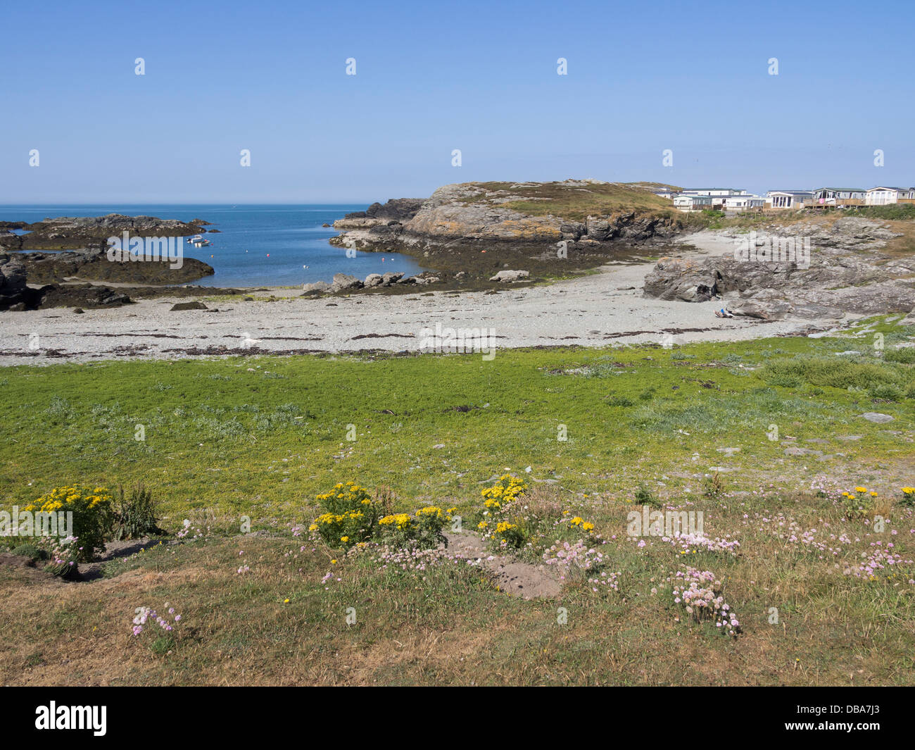 Blick vom Küstenweg zum Campingplatz von Porth y Garan, Trearddur, Holy Island, Isle of Anglesey, North Wales, UK, Großbritannien Stockfoto