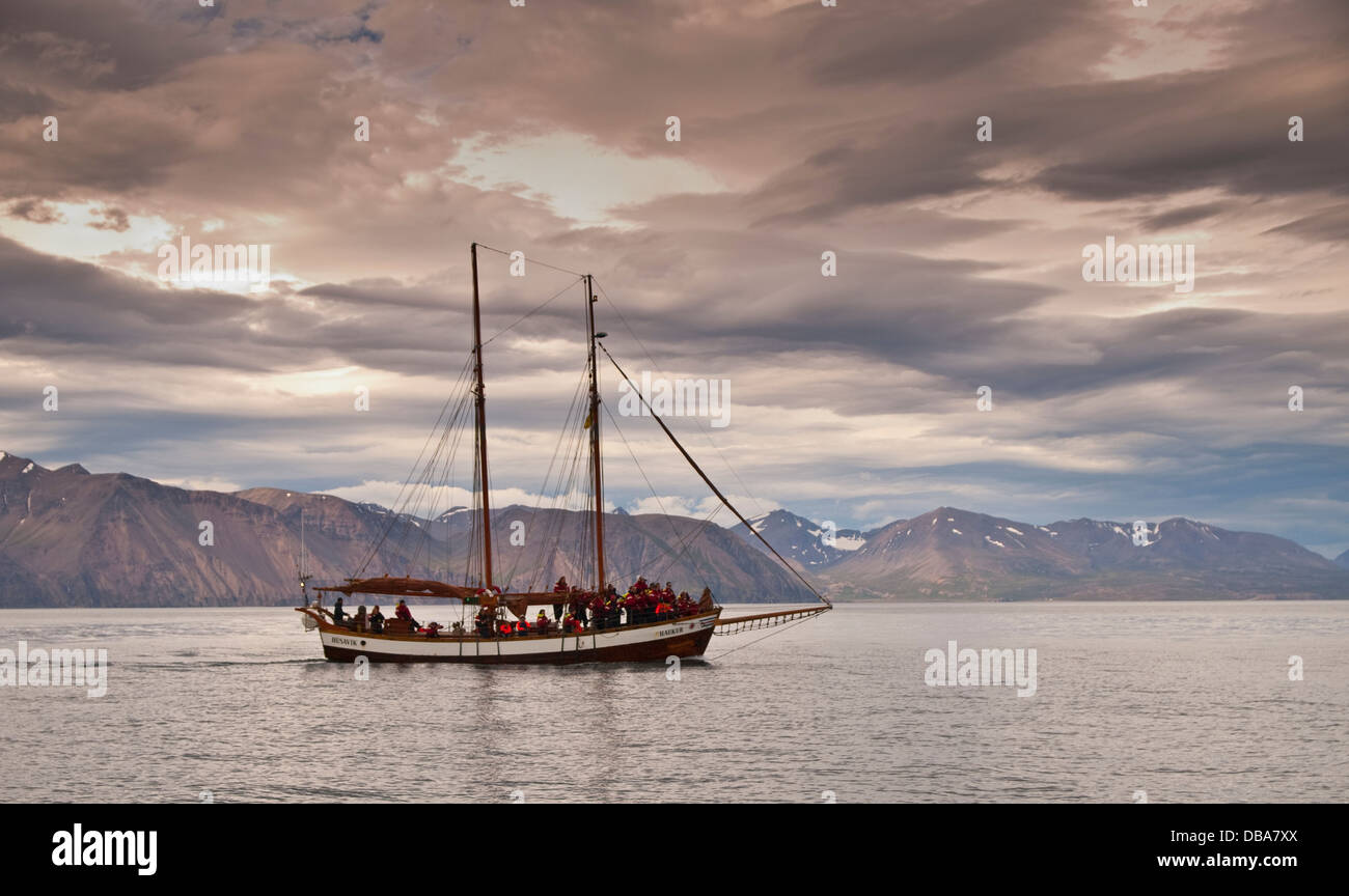 Alten Walfänger Großsegler umgebaut für touristische Whalewatching. Bucht von Husavik. Island, Skandinavien, Europa. Stockfoto