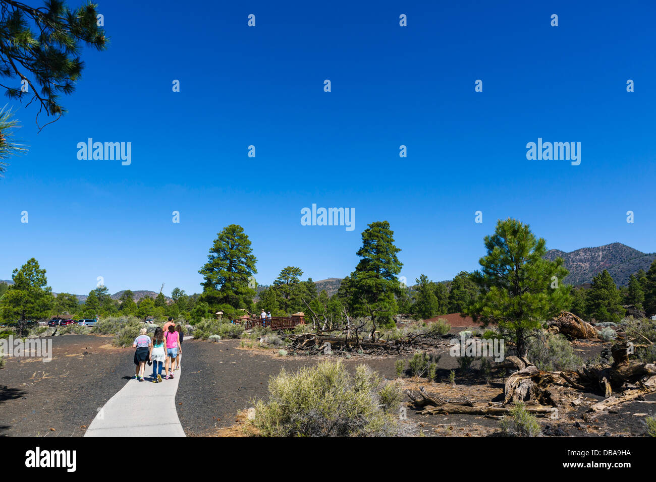 Touristen auf der Lava Flow Trail am Sunset Crater Volcano National Monument, in der Nähe von Flagstaff, Arizona, USA Stockfoto