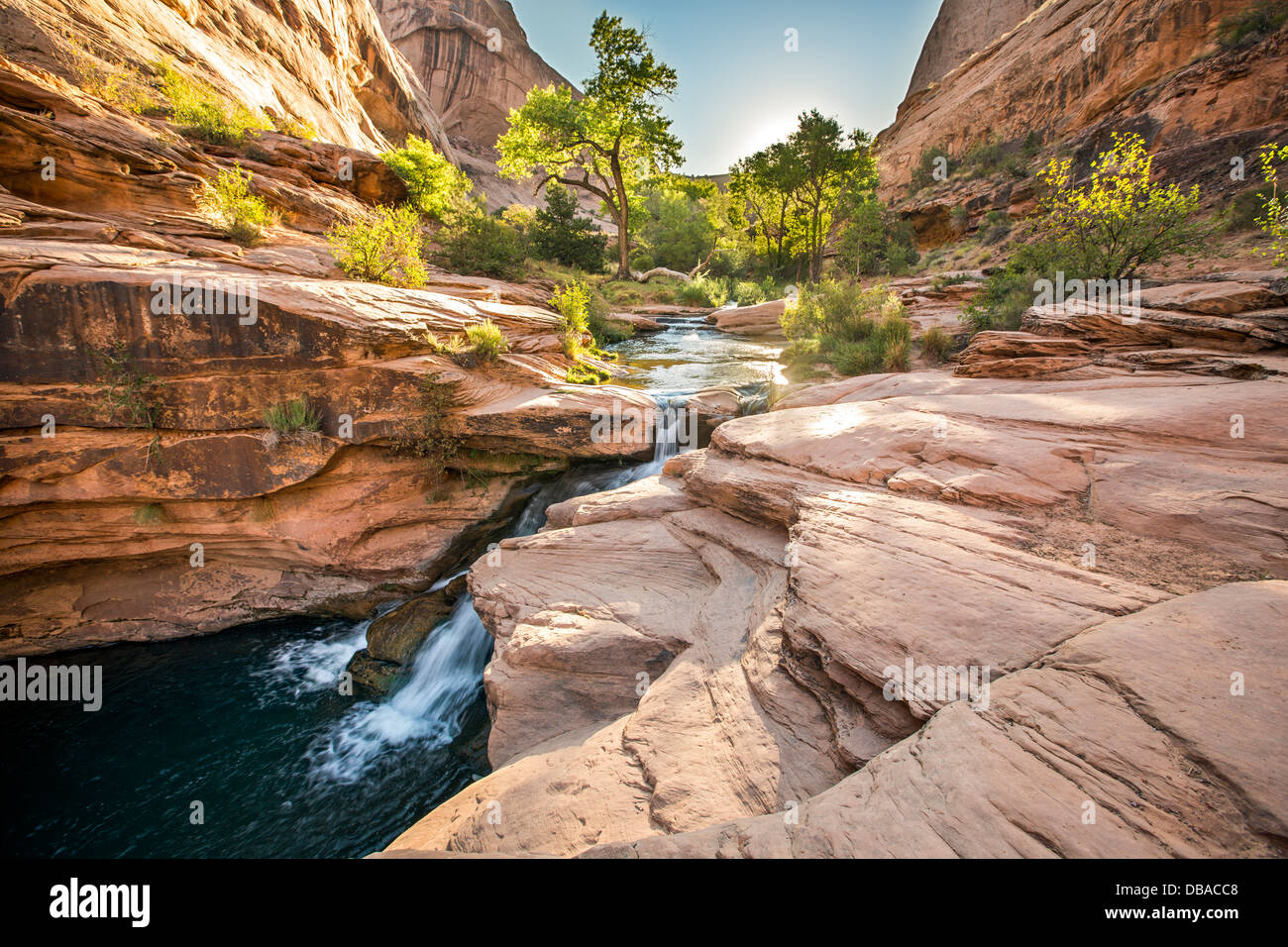 Mill Creek, Moab, Utah. Stockfoto