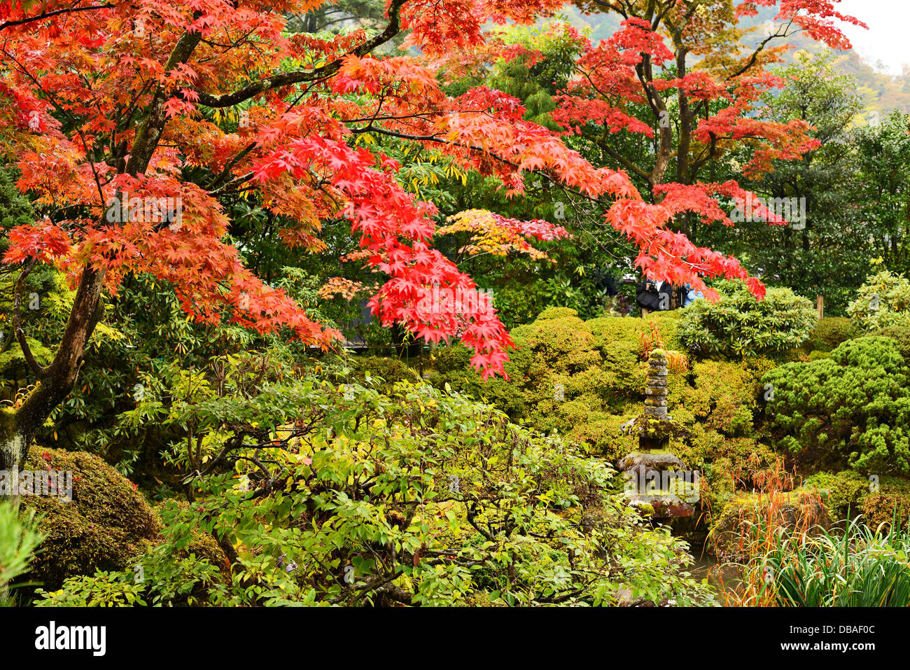 Japanischer Garten in Nikko, Japan. Stockfoto