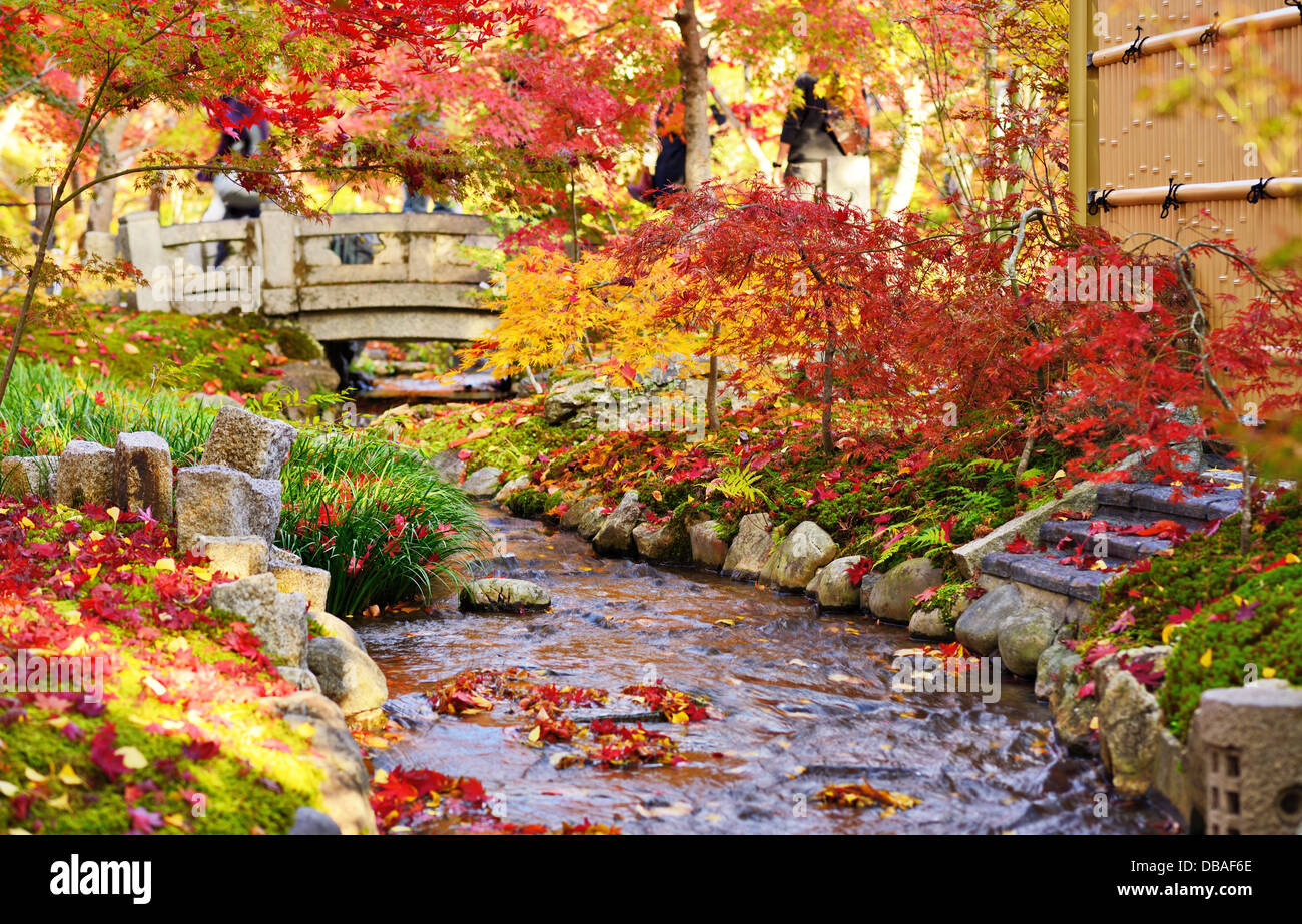 Herbstfarben im Eikando Tempel in Kyoto, Japan. Stockfoto