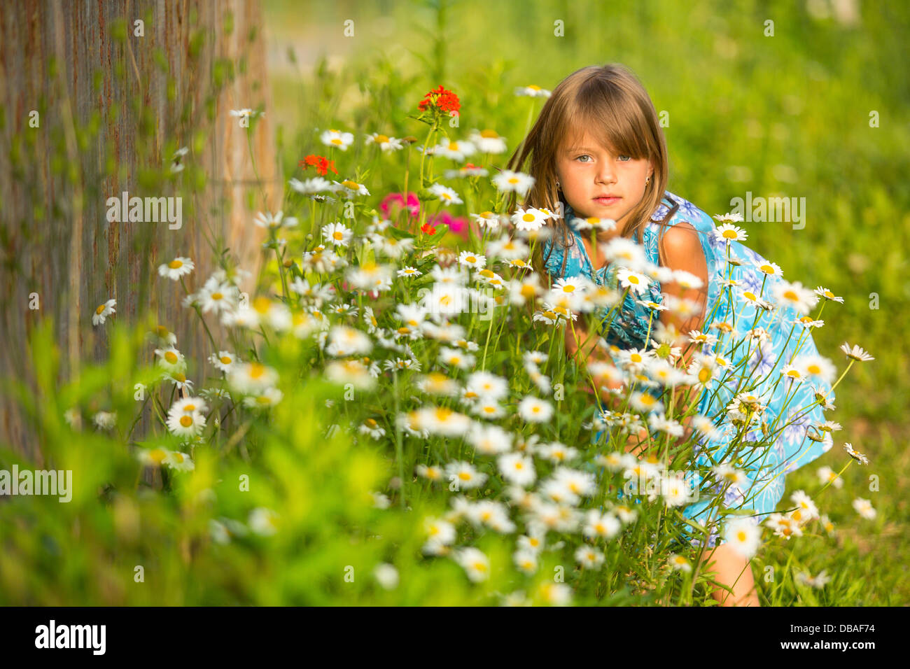 Charmantes kleines Mädchen unter gelbe Wildblumen Stockfoto