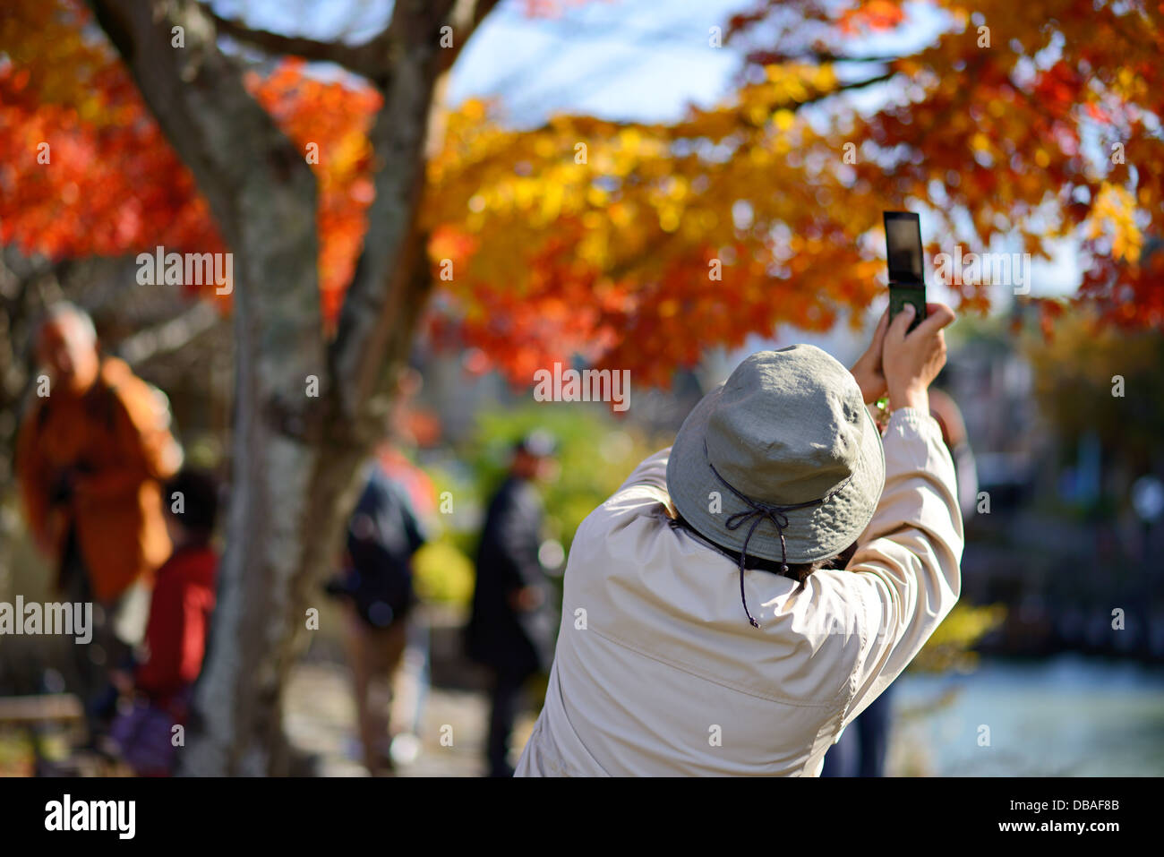 Personen, Falllaub in Arashiyama, Kyoto, Japan. Stockfoto