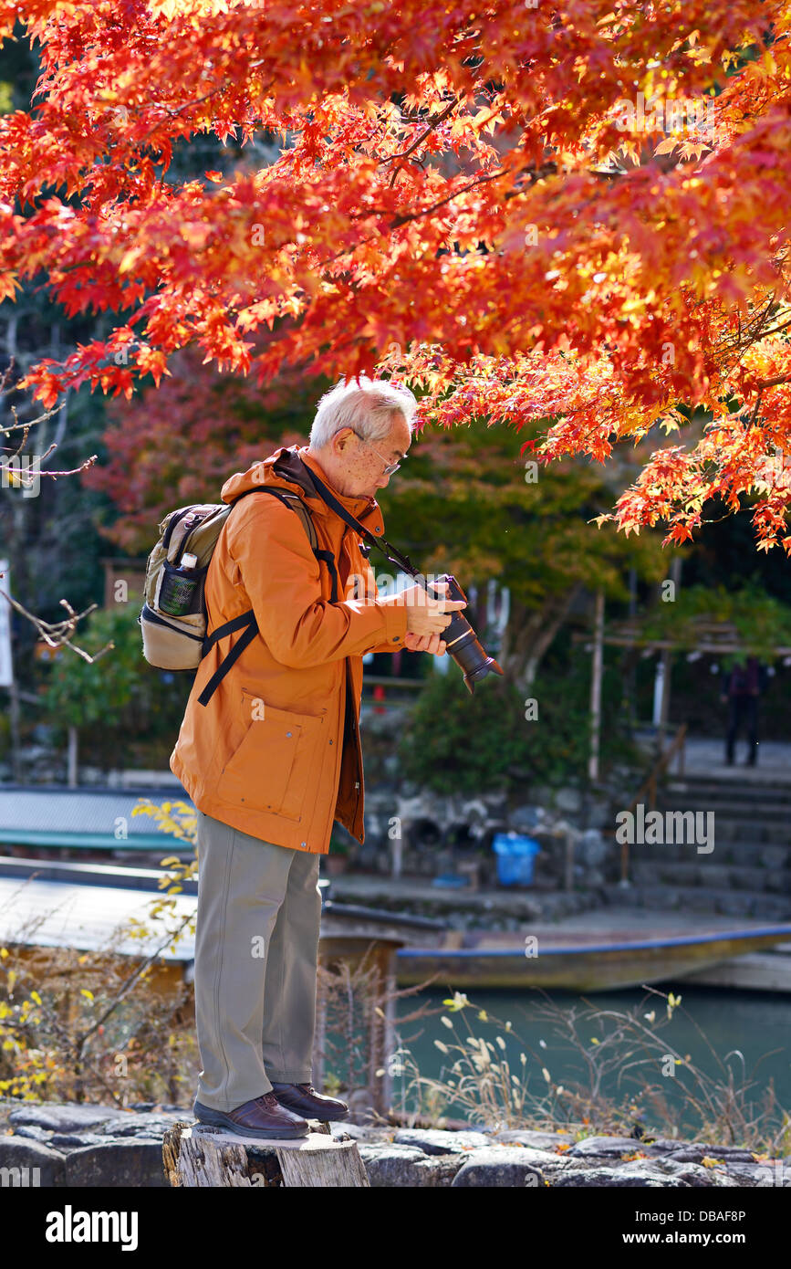 Personen, Falllaub in Arashiyama, Kyoto, Japan. Stockfoto