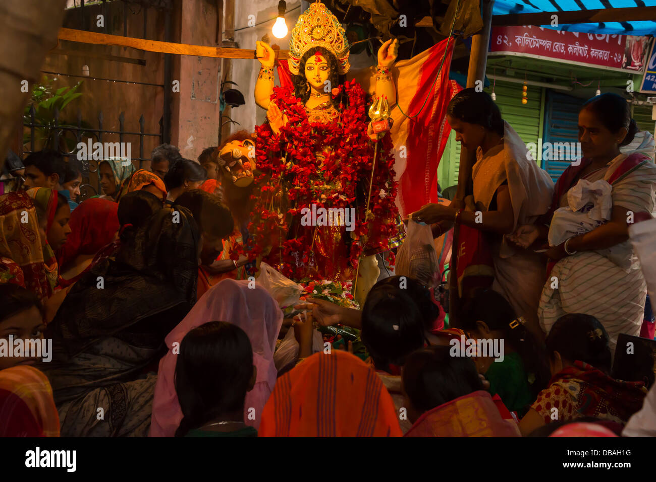 Löwe weiblich [RM]. Stockfoto