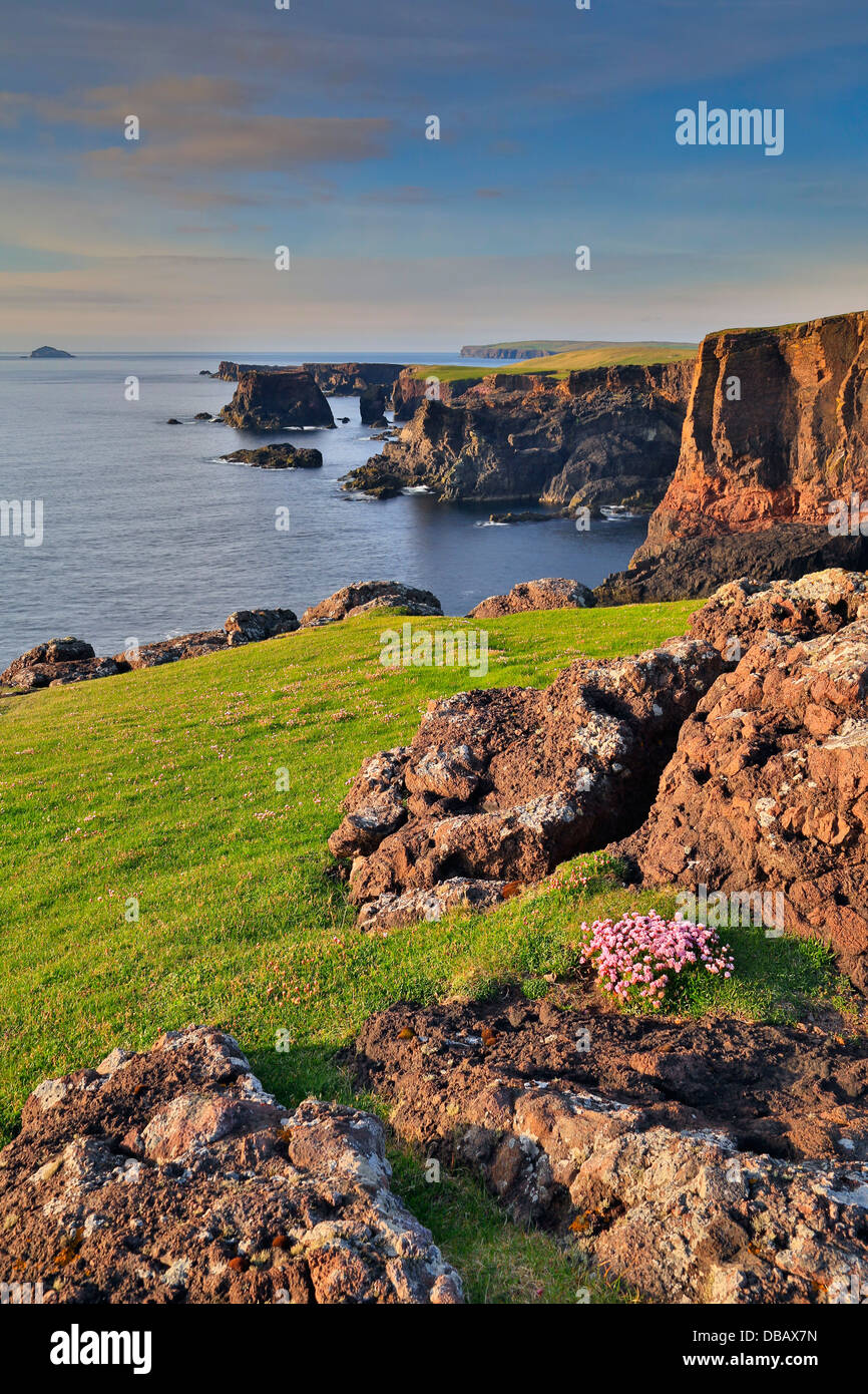 Eshaness; Klippen; Shetland; VEREINIGTES KÖNIGREICH; Stockfoto