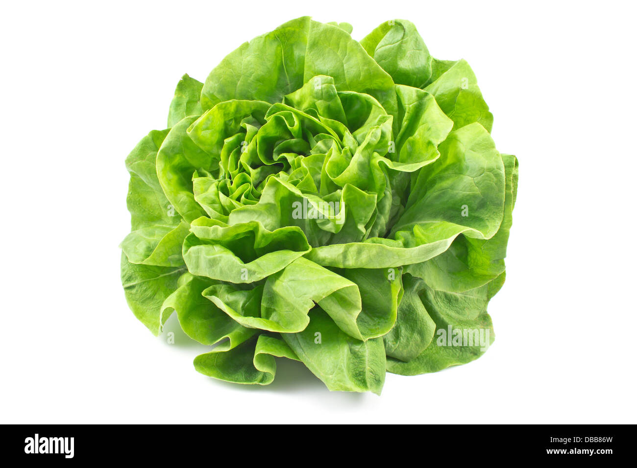 Frischer Salat, isoliert auf weiss Stockfoto