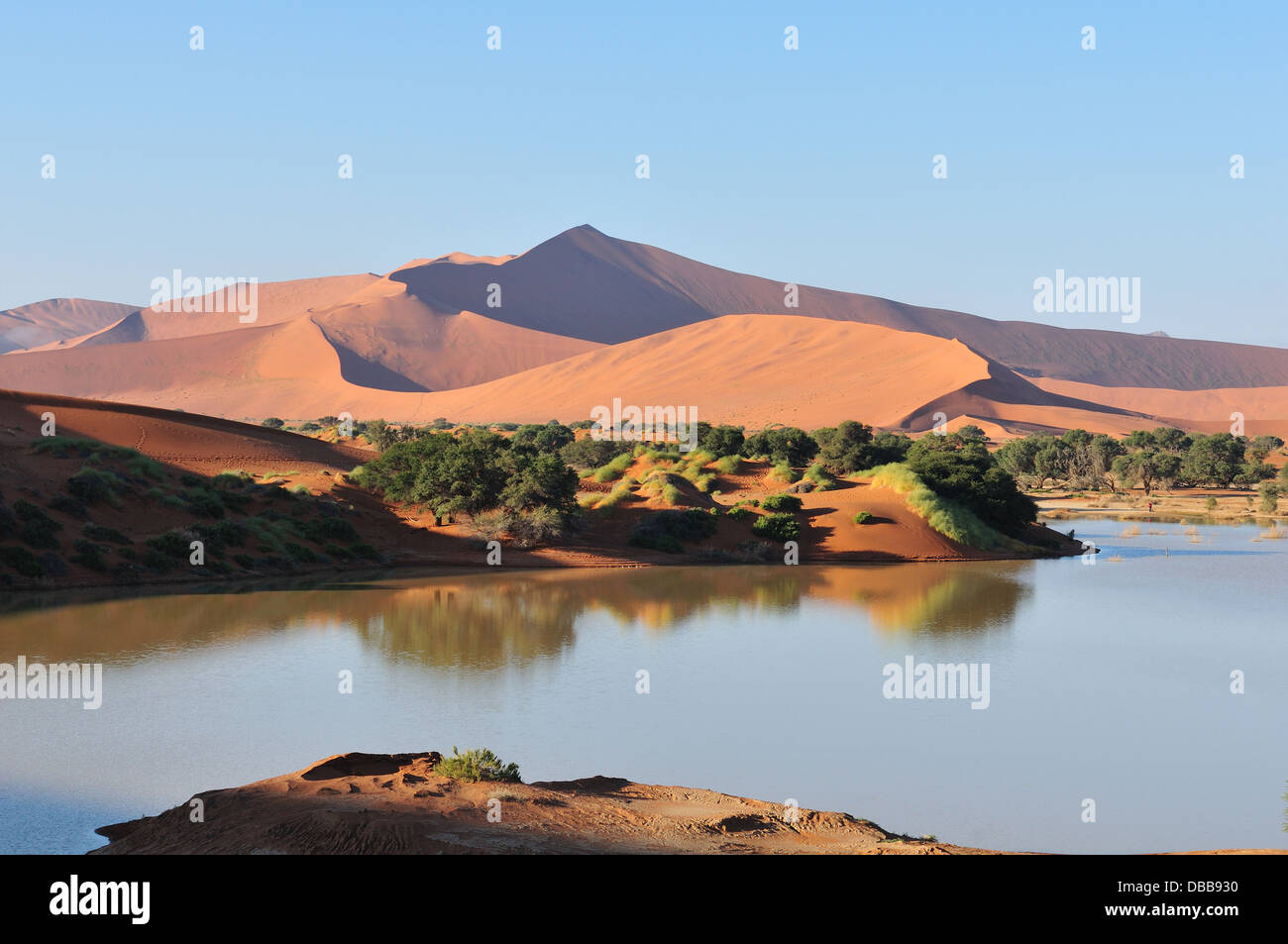 Ein überflutet Sossusvlei in der Wüste Namib Stockfoto