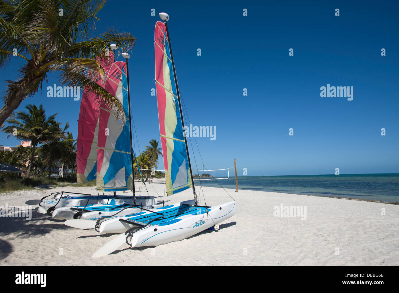 HOBIE CAT VERMIETUNG SEGELBOOTE SMATHERS BEACH KEY WEST FLORIDA USA Stockfoto