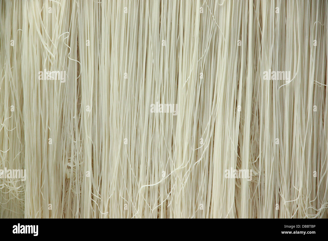 Die chinesischen Nudeln sind zum Kochen des Hintergrunds. Stockfoto