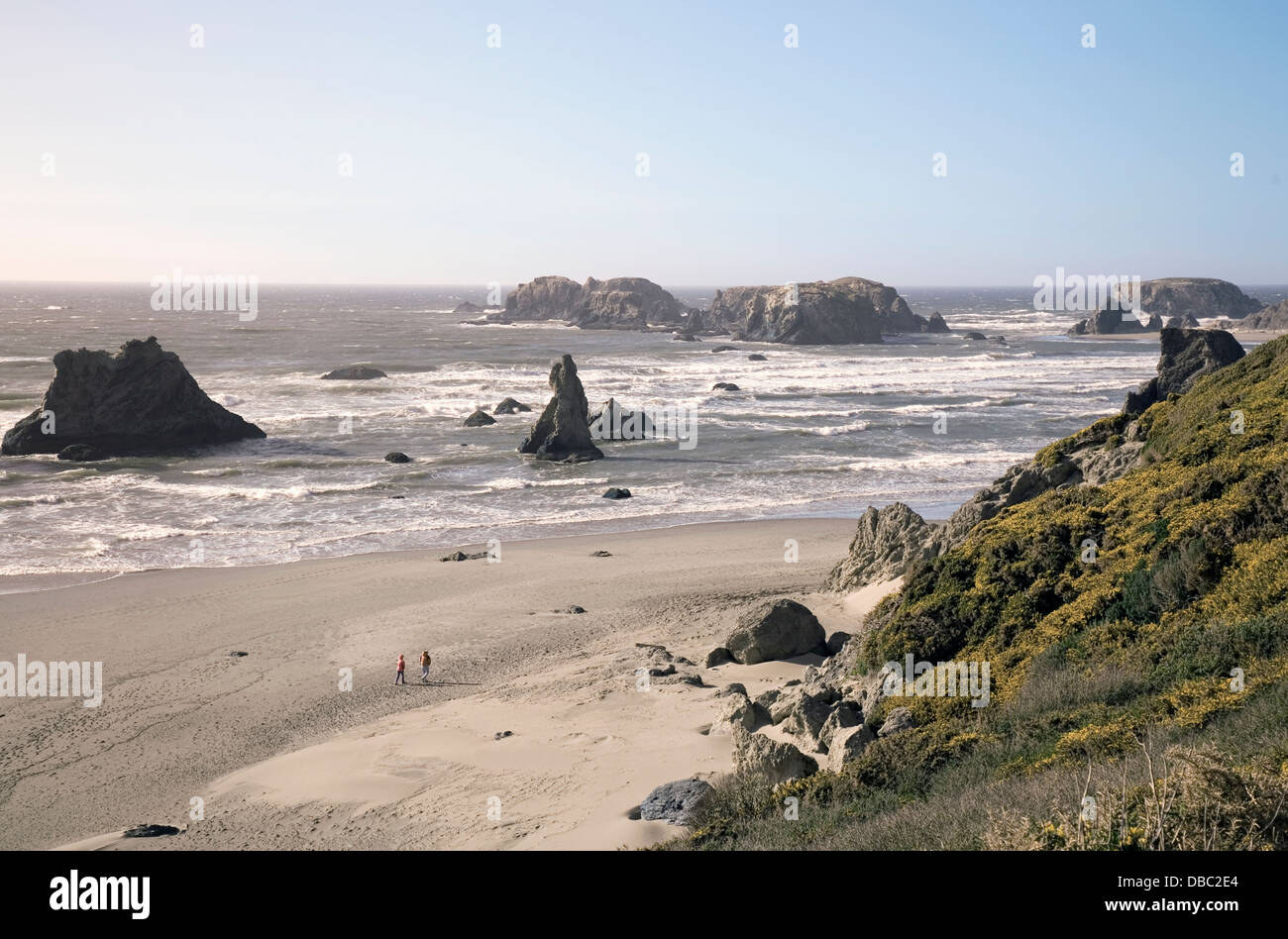 Bandon des schöne Felsen übersäten Strand ist beliebt bei Strandläufer, Sonnenanbeter und Fotografen gleichermaßen, Bandon, Oregon, USA Stockfoto