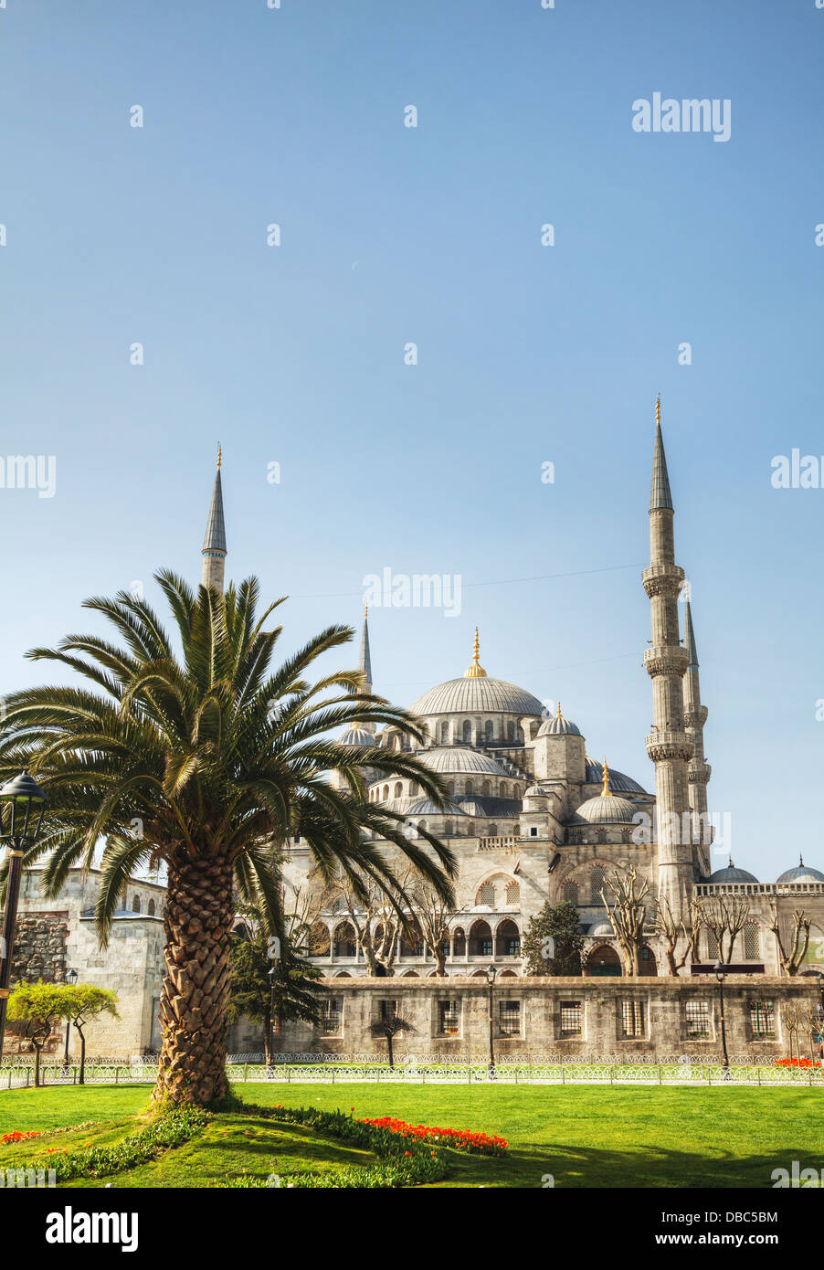 Sultan Ahmed Mosque (blaue Moschee) in Istanbul, Türkei am Morgen Stockfoto