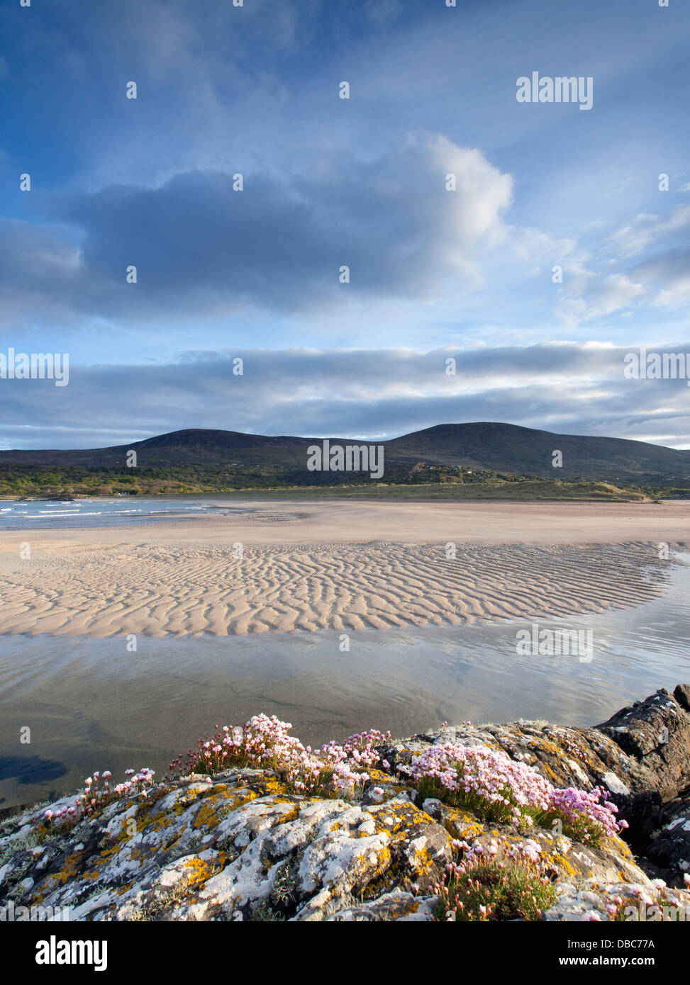 Der Strand von Derrynane in der Nähe von Caherdaniel auf dem Ring of Kerry, Süd-West-Irland Stockfoto