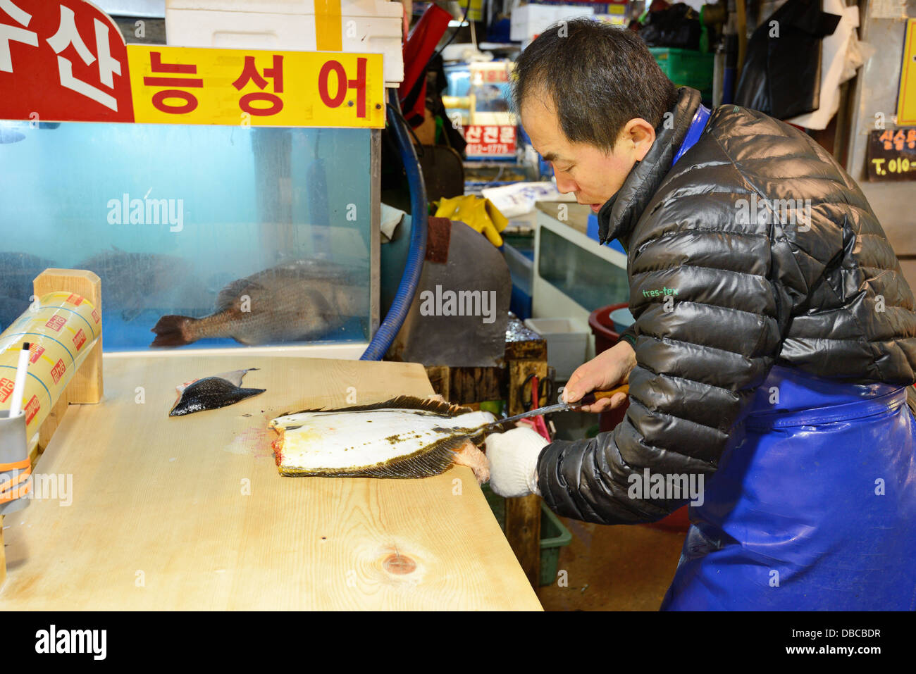 Arbeitnehmer Kürzungen Fisch bei Noryangjin Großhändler Fischerei, Seoul, Südkorea. Stockfoto