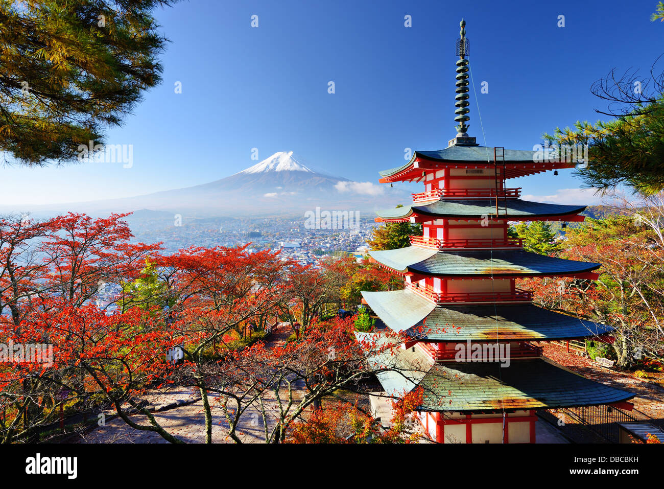 Mt. Fuji mit Herbstfarben in Japan. Stockfoto