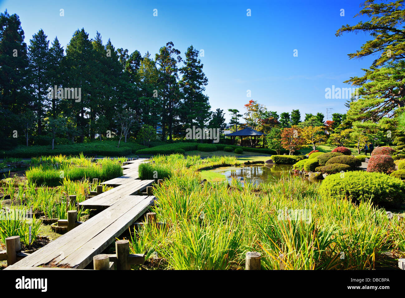 Gärten in Japan. Stockfoto