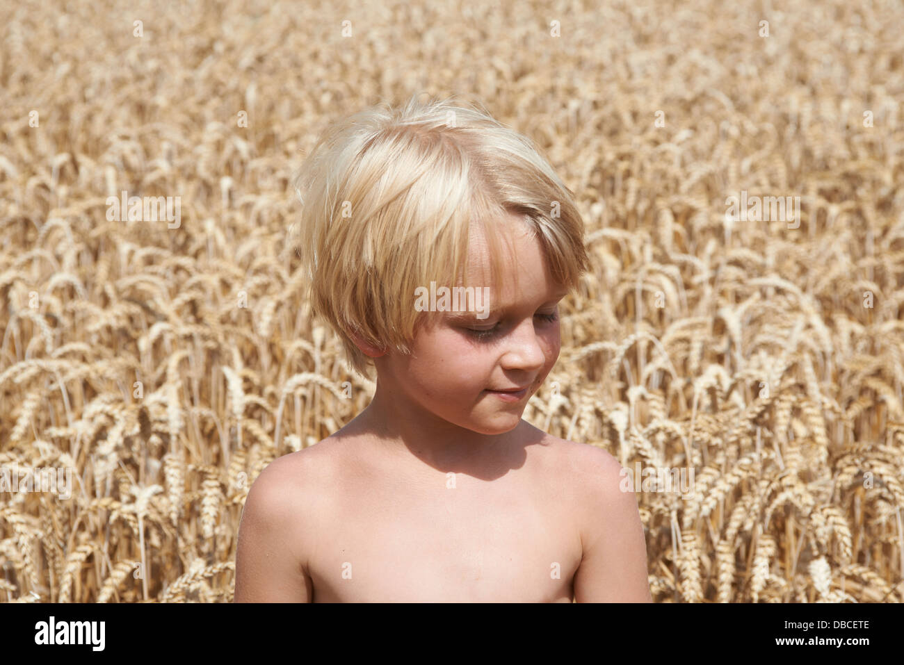 Porträt von blonder Junge in einem Weizen Feld Sommer Stockfoto