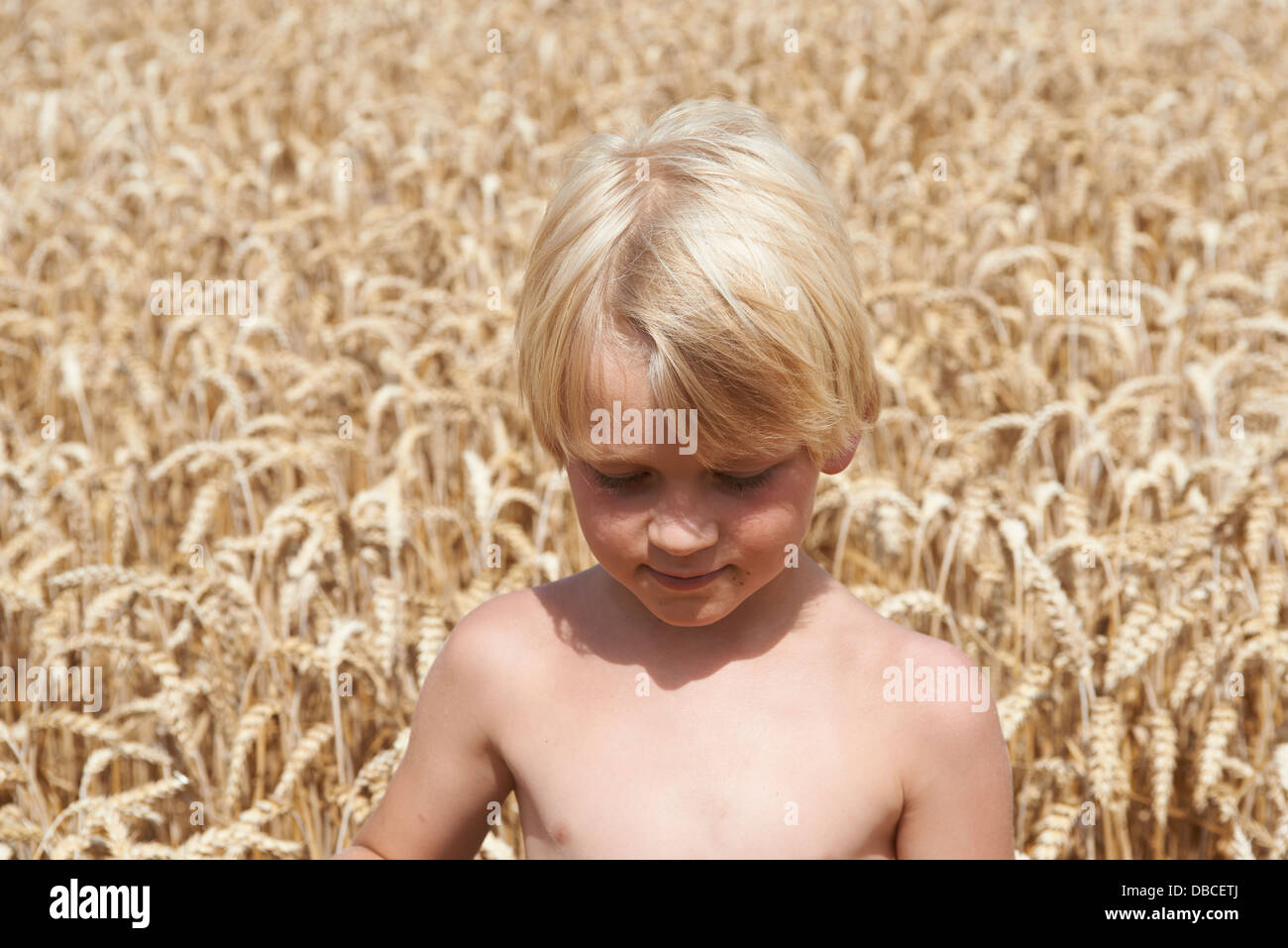 Porträt von blonder Junge in einem Weizen Feld Sommer Stockfoto