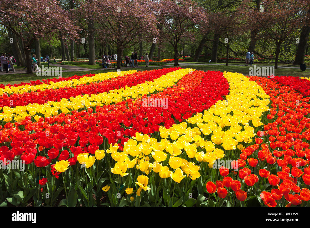 Streifen in gelb und rot ("Parade") Tulpen auf dem Keukenhof Gärten, Lisse, Niederlande Stockfoto