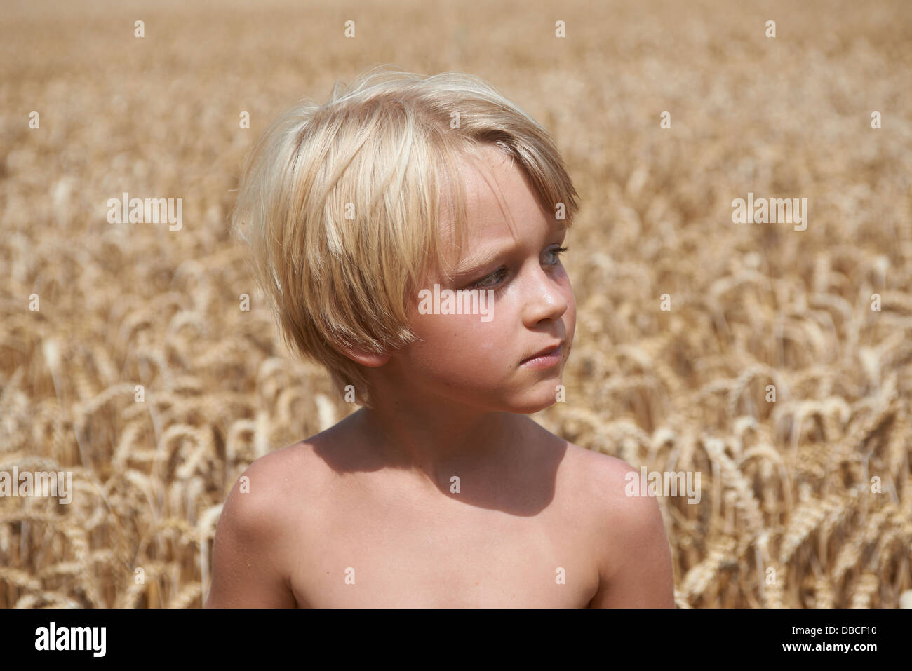 Porträt von blonder Junge in einem Weizen Feld Sommer Stockfoto