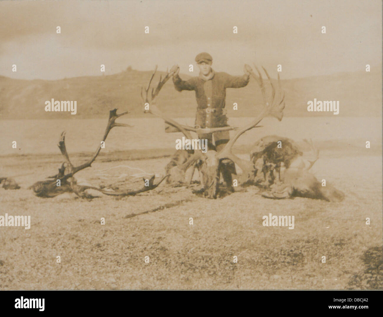 Dieses Bild zeigt RH Johnson und zwei montierte Karibus-Köpfe, die die Sammlung der Motive und das Präparat zeigen. Stockfoto