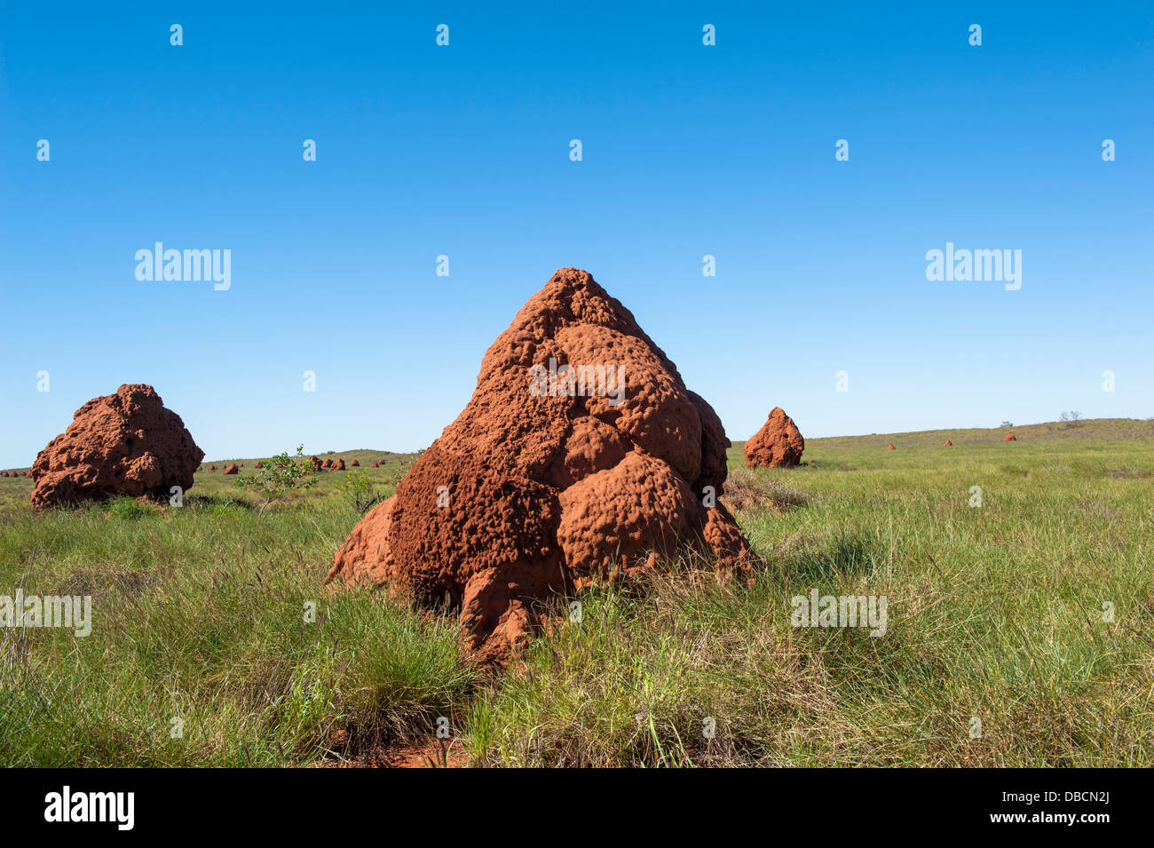 Termitenhügel in die "Stadt der Termiten" in der Küstenstadt Landzungen Onslow, Western Australia Stockfoto