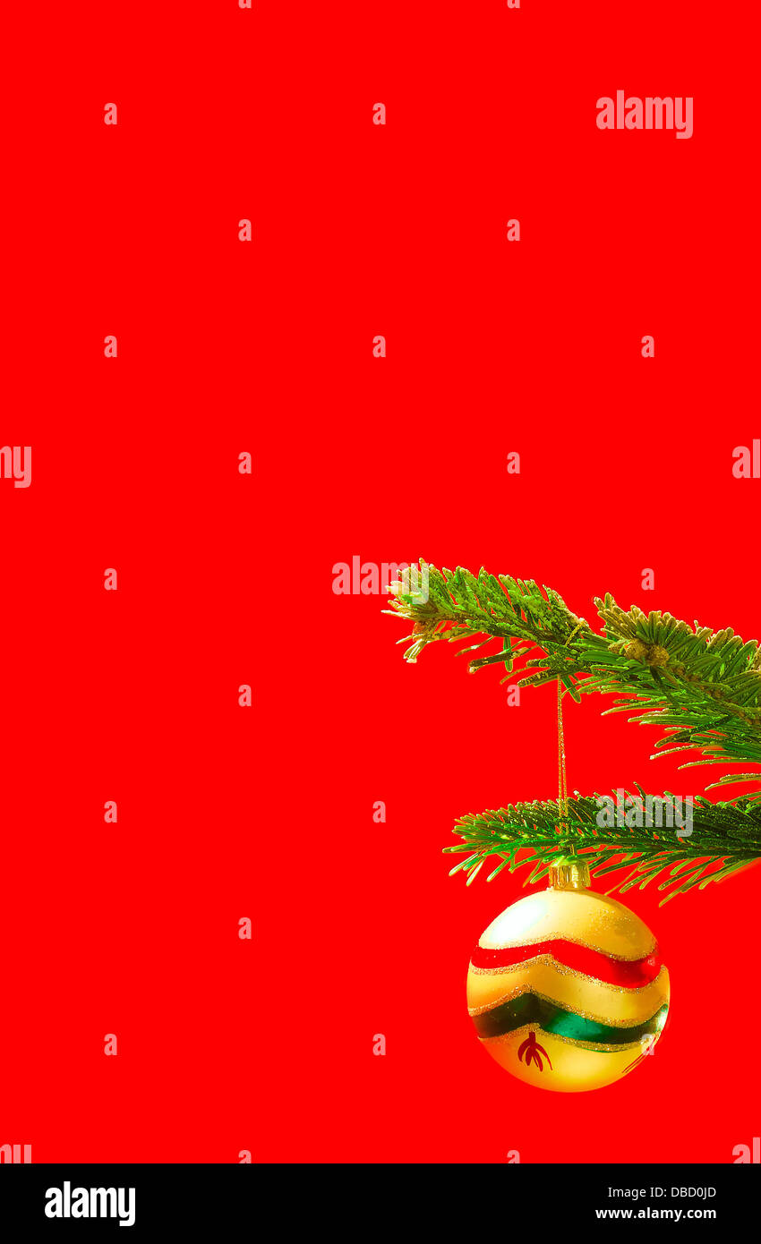 Eine einzige Weihnachtskugel hervorgehoben, während von einem echten Baum gegen einen roten Hintergrund hängen. Stockfoto