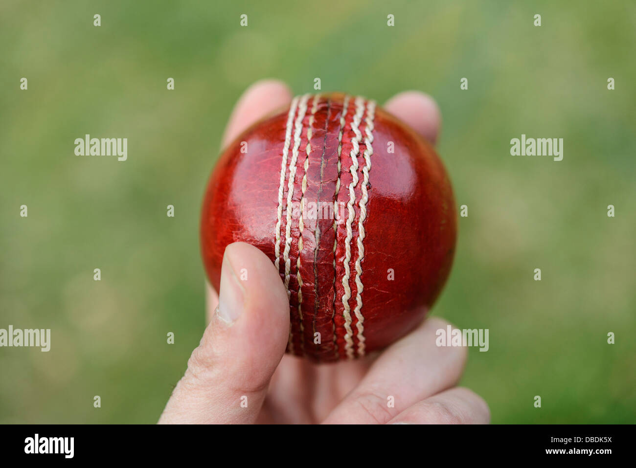Hand mit rotem Leder Cricketball Stockfoto