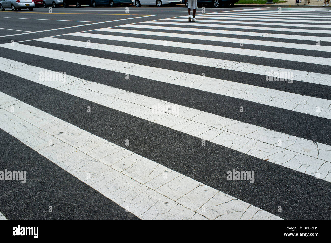 Zebrastreifen entlang der Mall, Washington, DC. Stockfoto