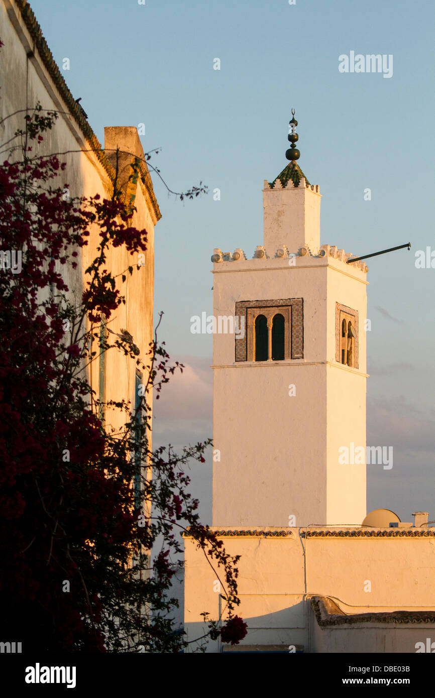 Moschee in Sidi Bou sagte, Tunesien. Stockfoto