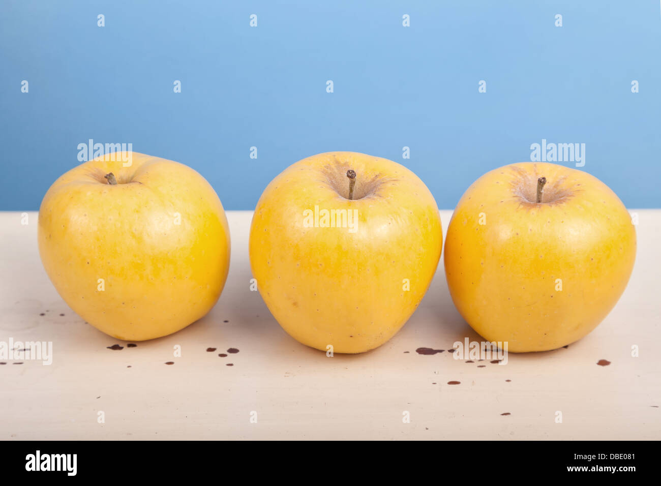 Frische reife goldene Äpfel in einer Studioumgebung. Stockfoto