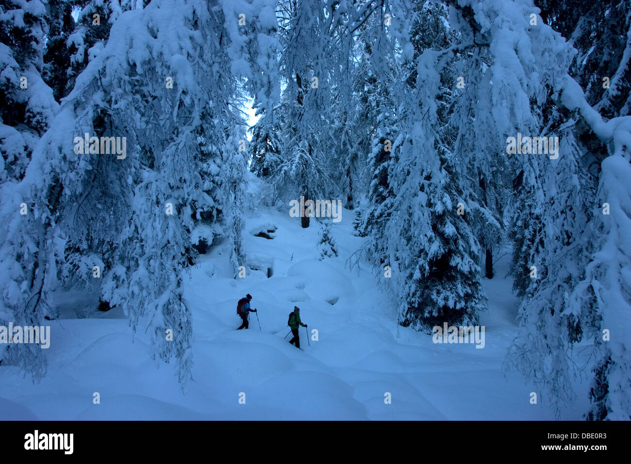 Schneeschuhwandern in Les Houches Stockfoto