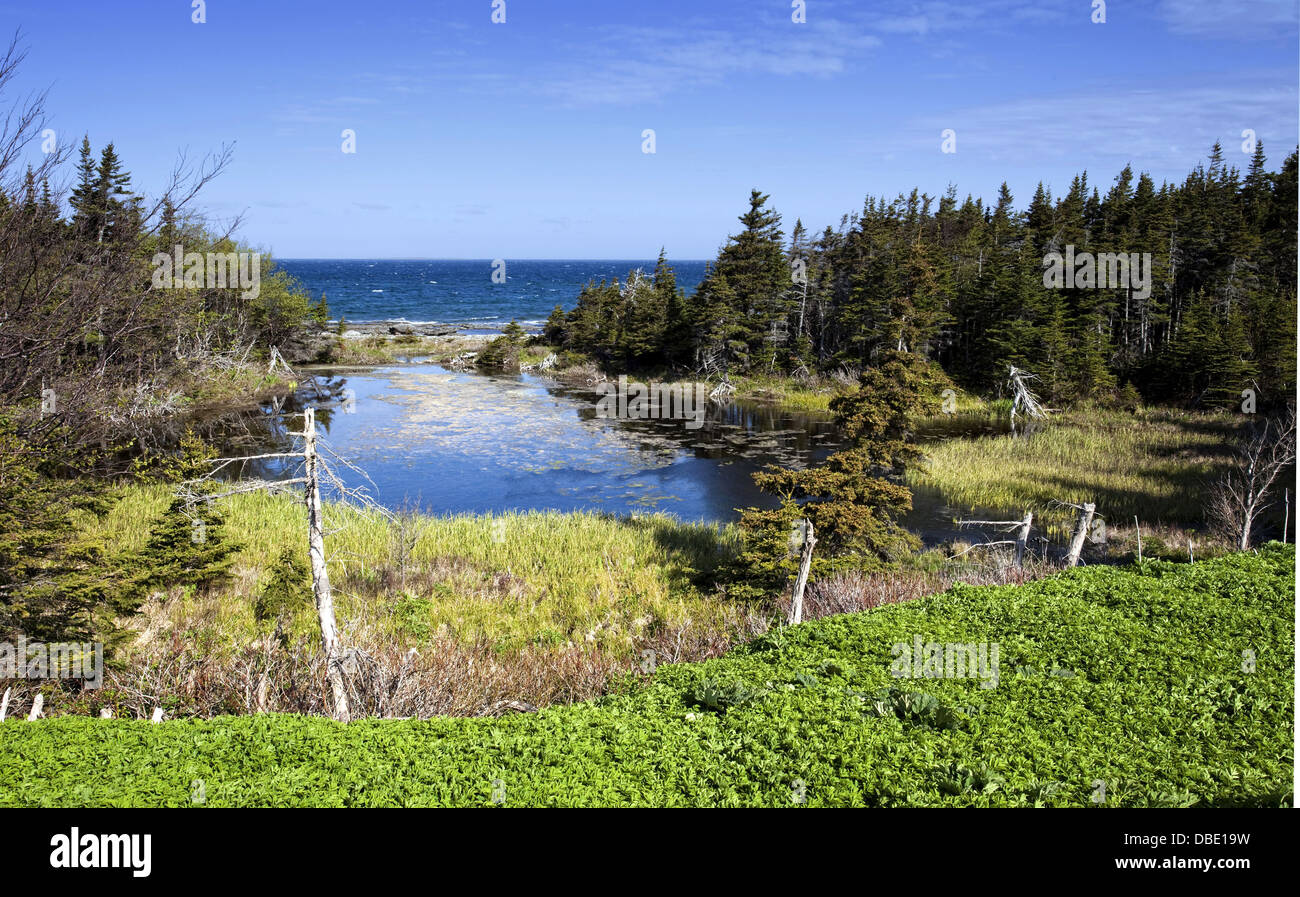 Nördlichen Gros Morne National Park, UNESCO World Heritage Site, Neufundland Stockfoto