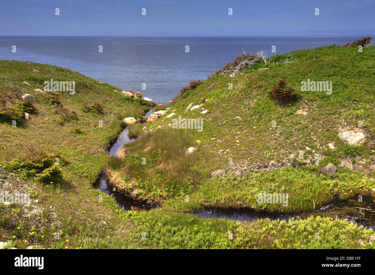 Nördlichen Gros Morne National Park, UNESCO-kulturelles Erbe, Neufundland Stockfoto