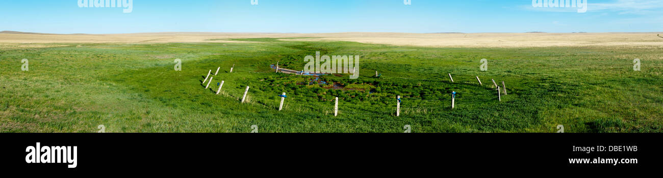 Toson Khulstai, Mongolei Stockfoto