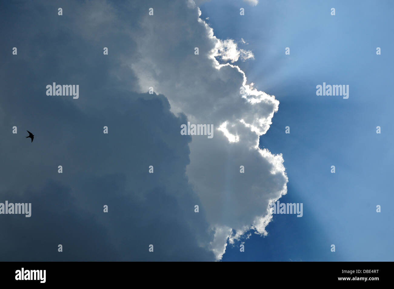 Sonnenlicht durch Cumulus-Wolken. Stockfoto