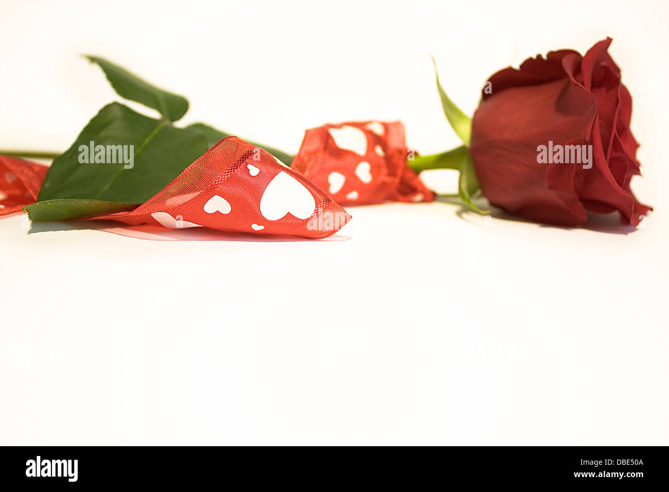 Rote Rose mit weißen Herzen rote Schleife auf weißem Hintergrund, cut Outs, Liebe, poetisch, romantisch, Stillleben, Blume, kreativ, Konzept Stockfoto