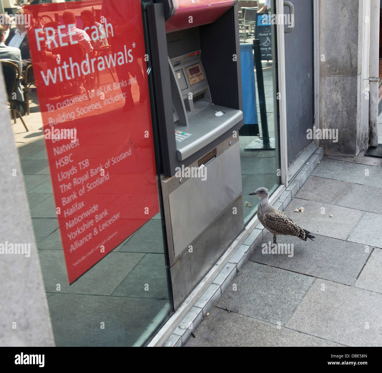 Eine Möwe wartet Bank soll in Cardiff Stockfoto