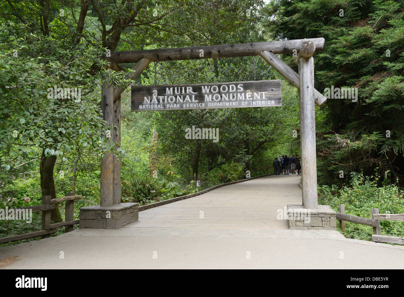 Muir Woods National Monument Stockfoto