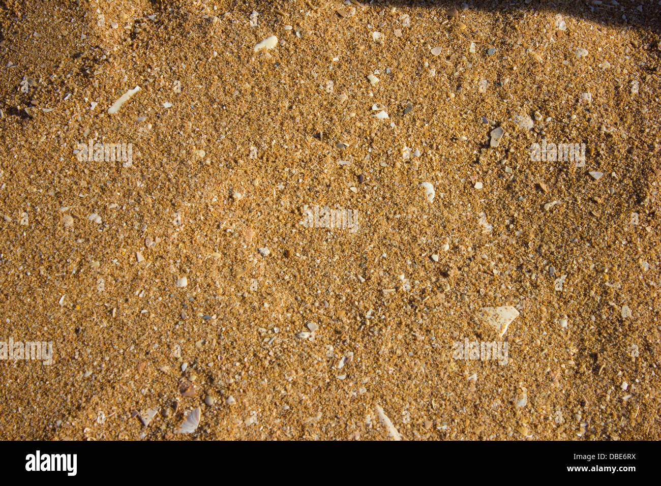 schmutzig mit gelbem Sand bei Tageslicht Stockfoto